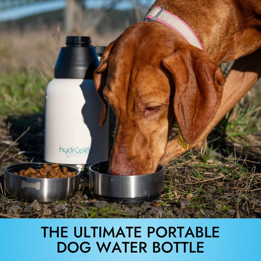 HydroPet Dog Water Bottle 32 oz or 64 oz Stainless Steel Flask with Dual Dog Bowls, BPA-Free, Includes Strap, Travel & Road Trip Essential